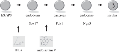 Figure 3.