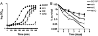 Fig 9