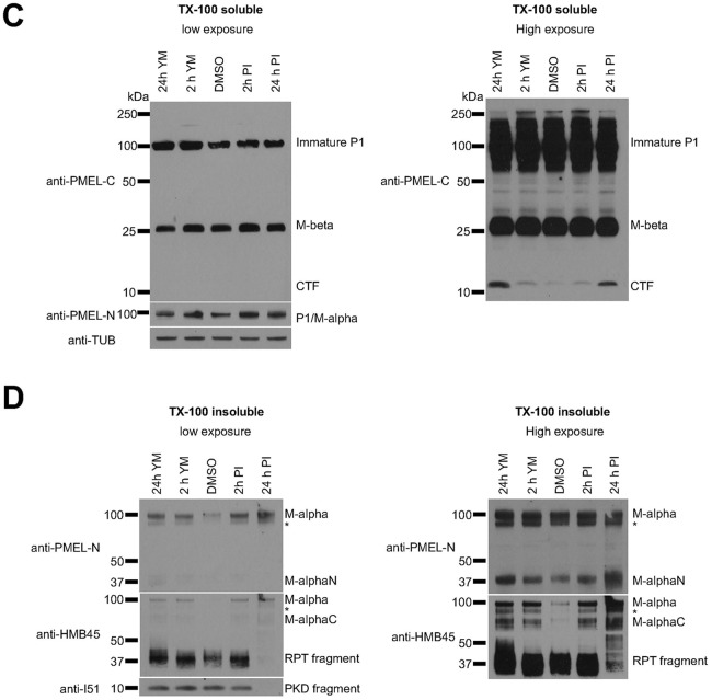 Fig. 2 (corrected panels).