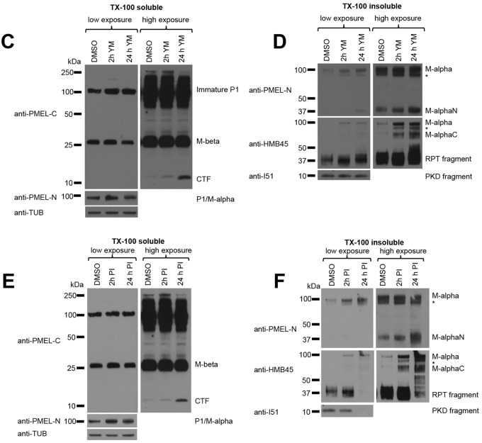 Fig. 2 (original panels).