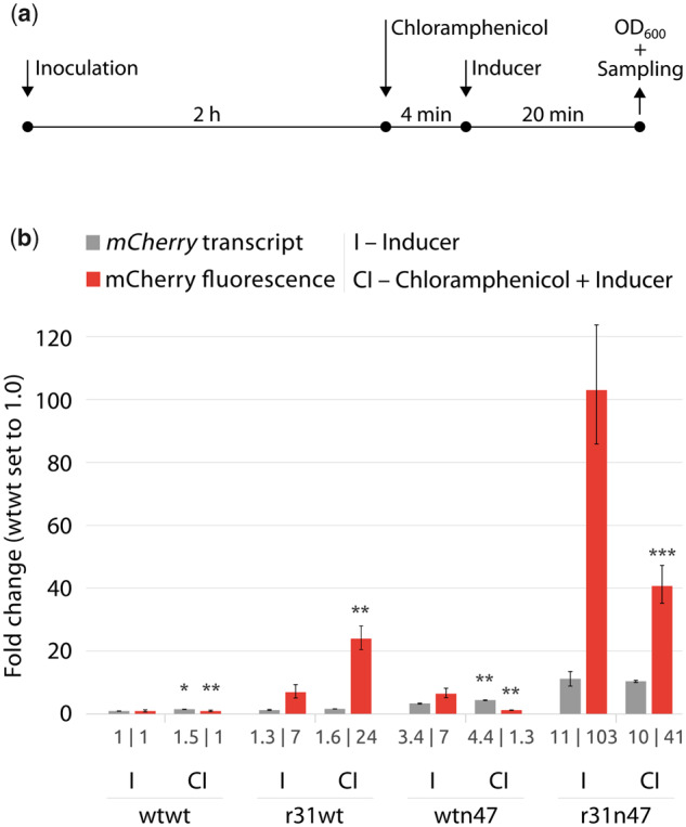 Fig. 11