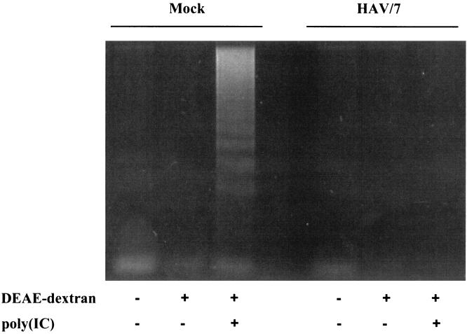 FIG. 5.