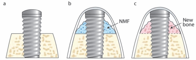 Figure 5.