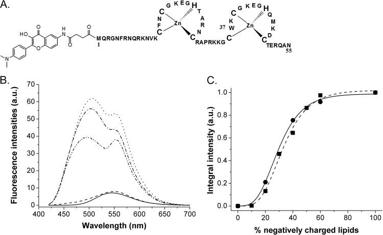 FIG 1