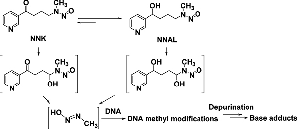 Scheme 1.