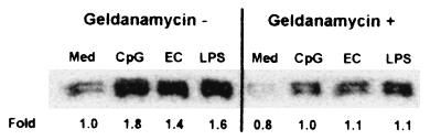 FIG. 6