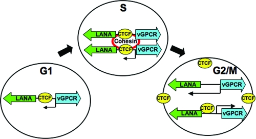 FIG. 8.
