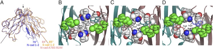 Fig. 3.