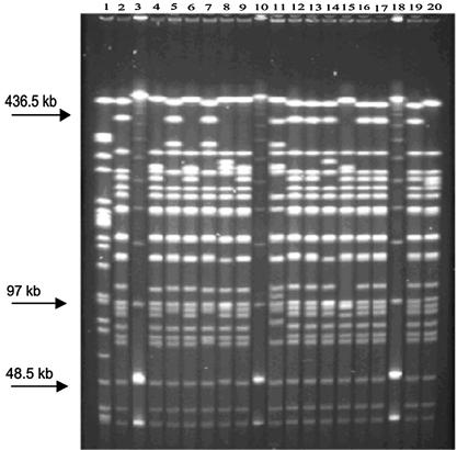 FIG. 1.