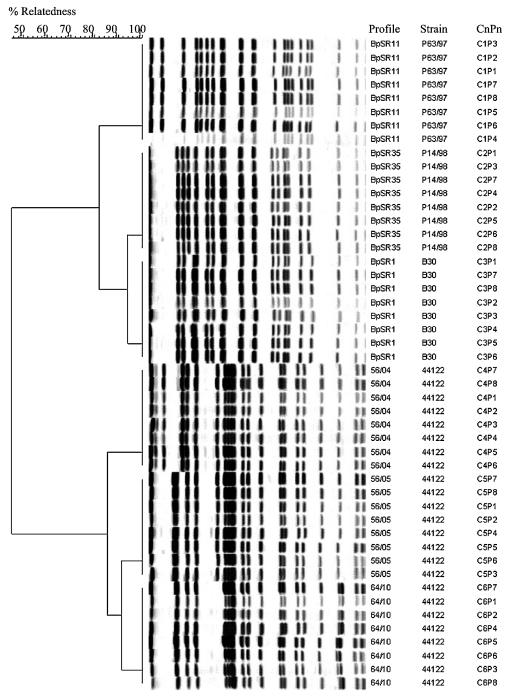 FIG. 6.