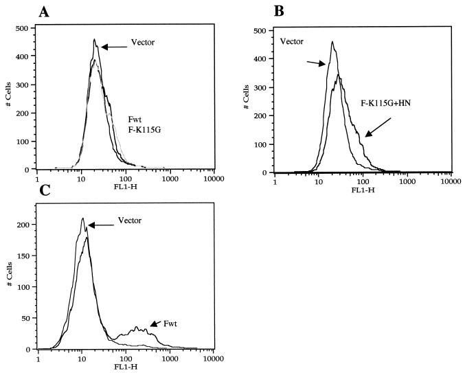 FIG. 5.