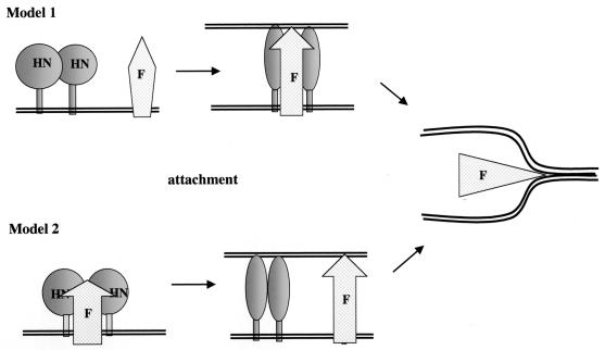 FIG. 9.