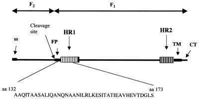 FIG. 1.