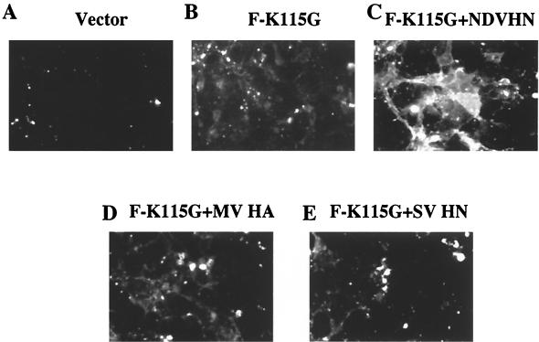 FIG. 6.