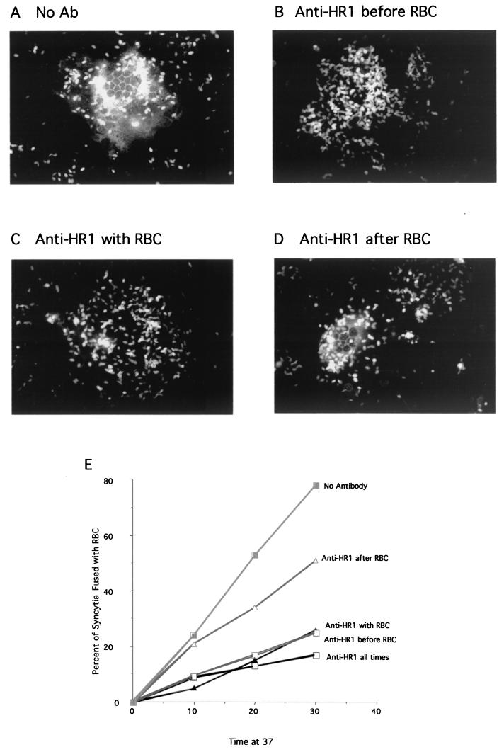 FIG.8.