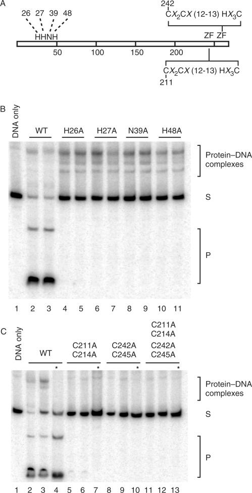 Figure 5.