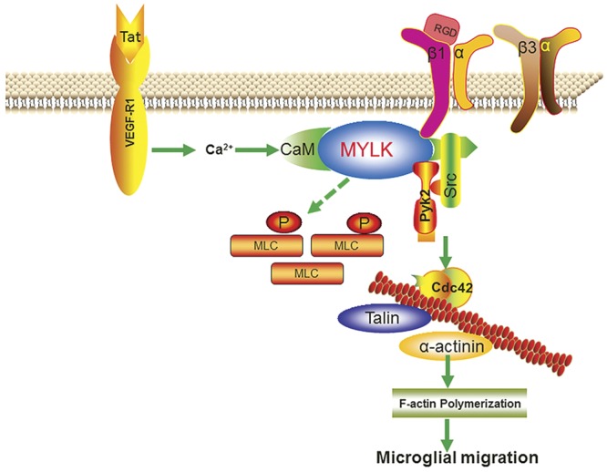 Figure 10.