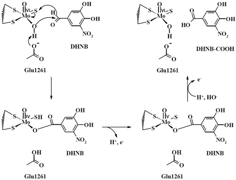 Fig. 8