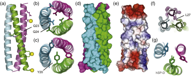 Fig. 2