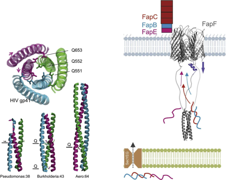 Unlabelled Image