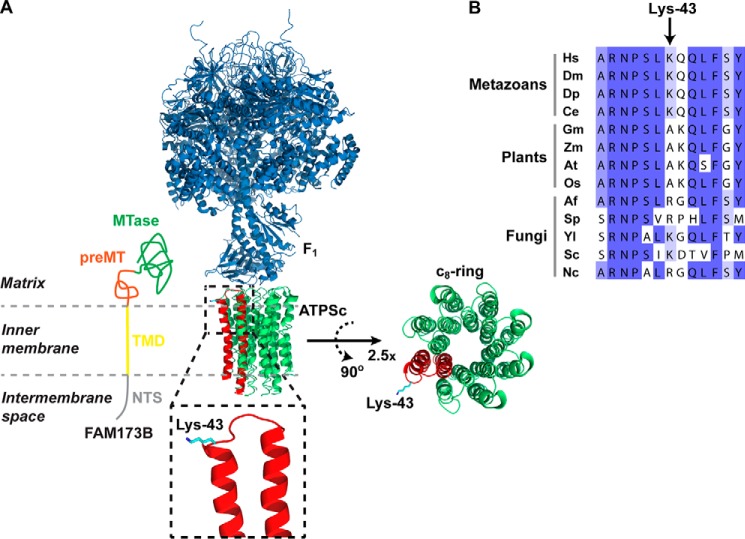 Figure 6.