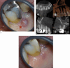 Fig. 3