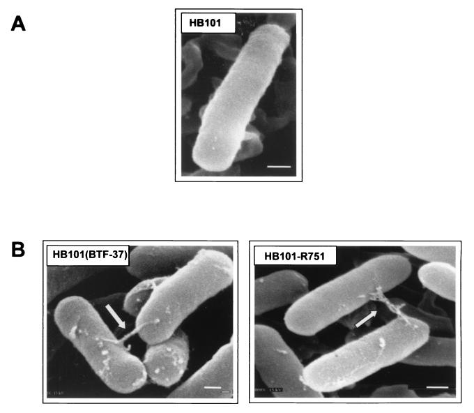 FIG. 7.