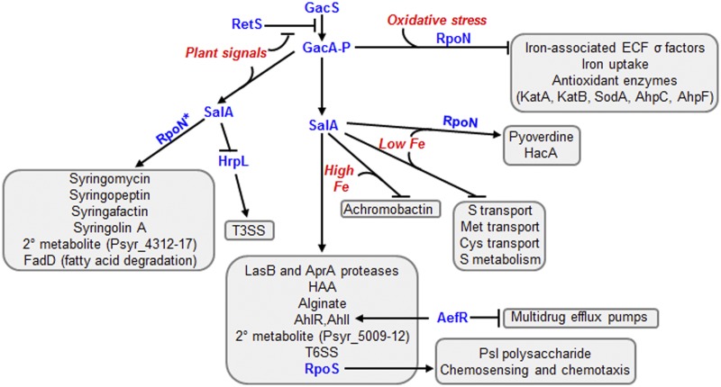 FIG 3 