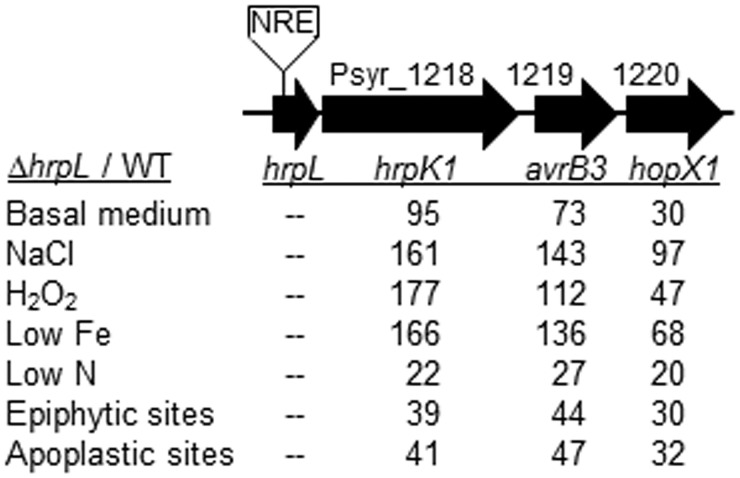 FIG 6 