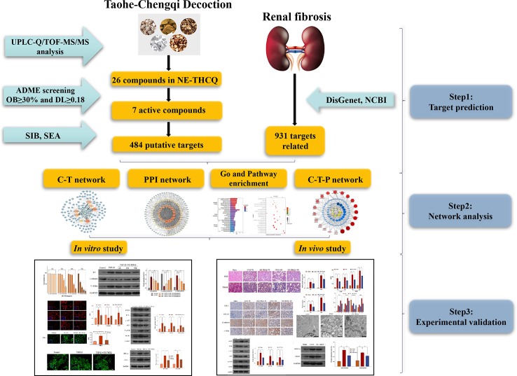 Graphical Abstract