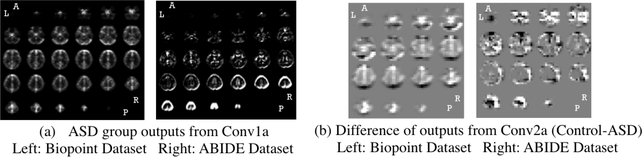 Fig. 5: