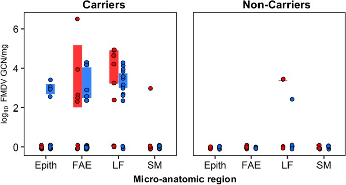 FIG 6