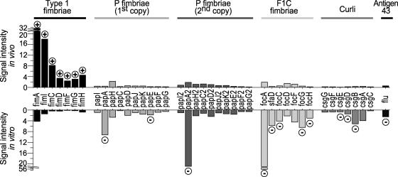 FIG. 2.