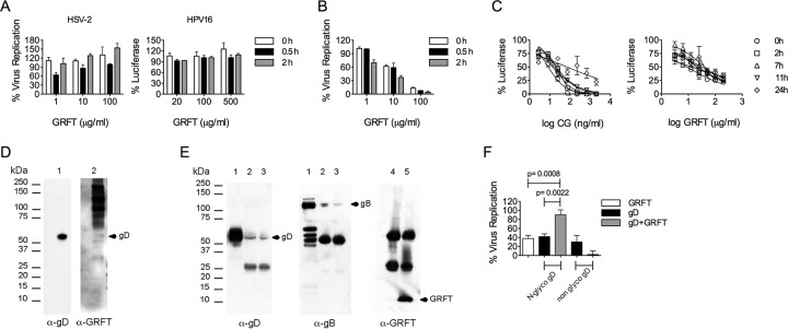 FIG 2