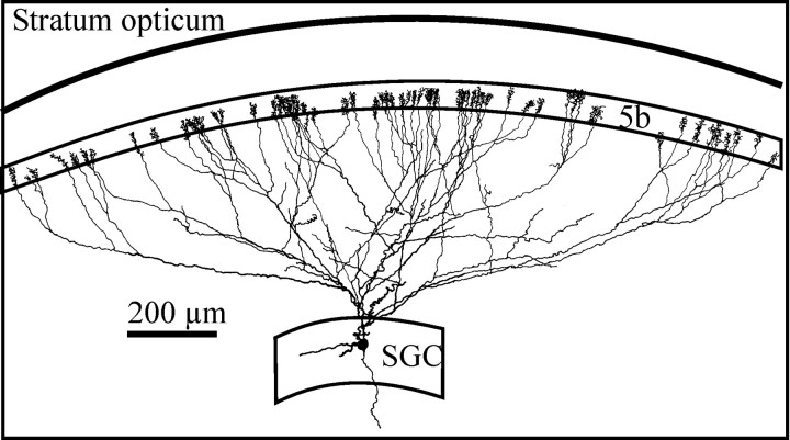 Fig. 3.