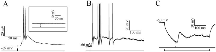 Fig. 8.