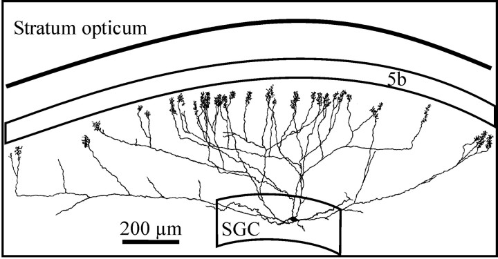 Fig. 6.