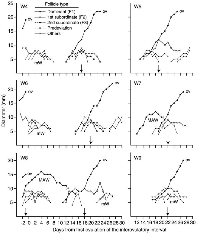 FIG. 3