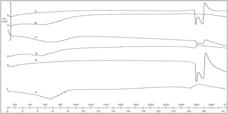 Fig. 5