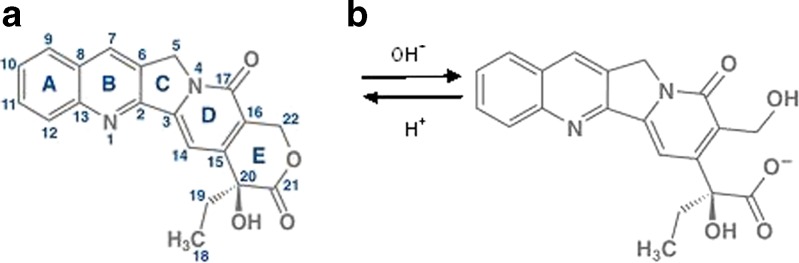 Fig. 1