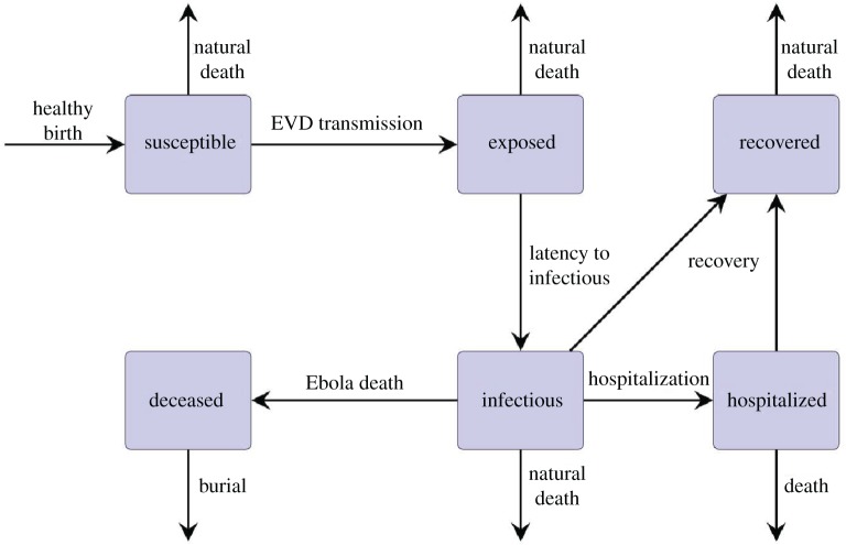 Figure 1.