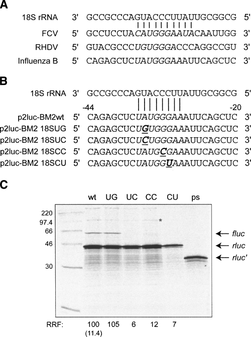 FIGURE 4.