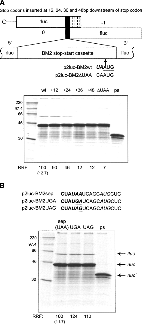 FIGURE 7.