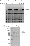 FIGURE 3.