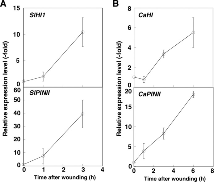 FIGURE 7.