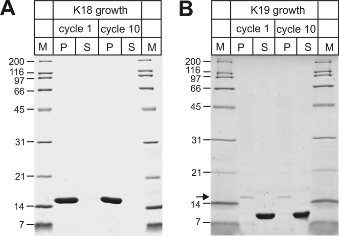 FIGURE 7.