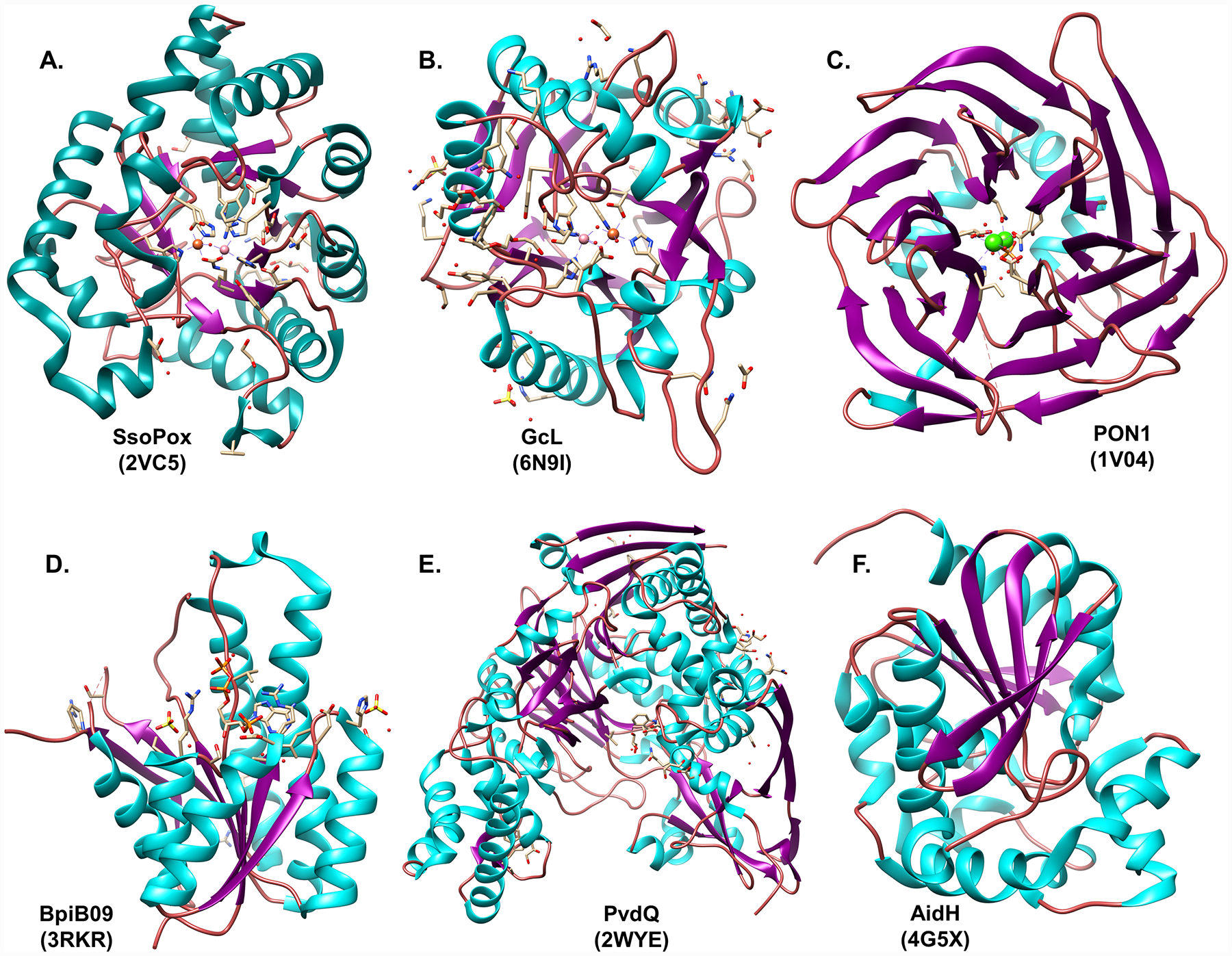 Fig 4.