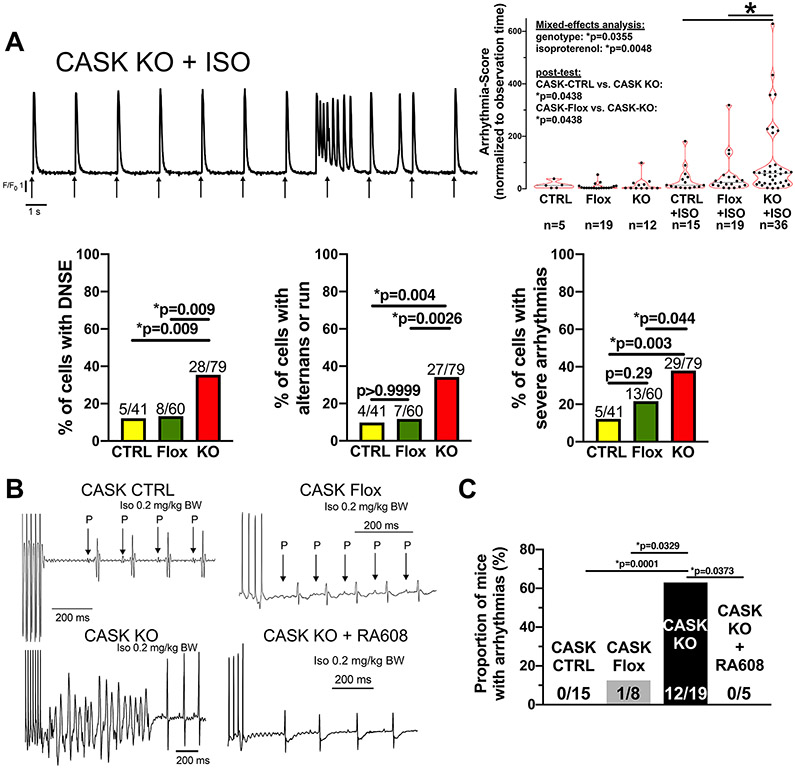 Figure 4: