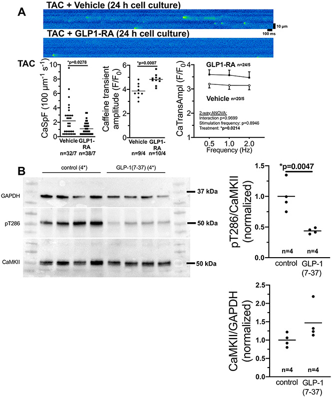 Figure 7: