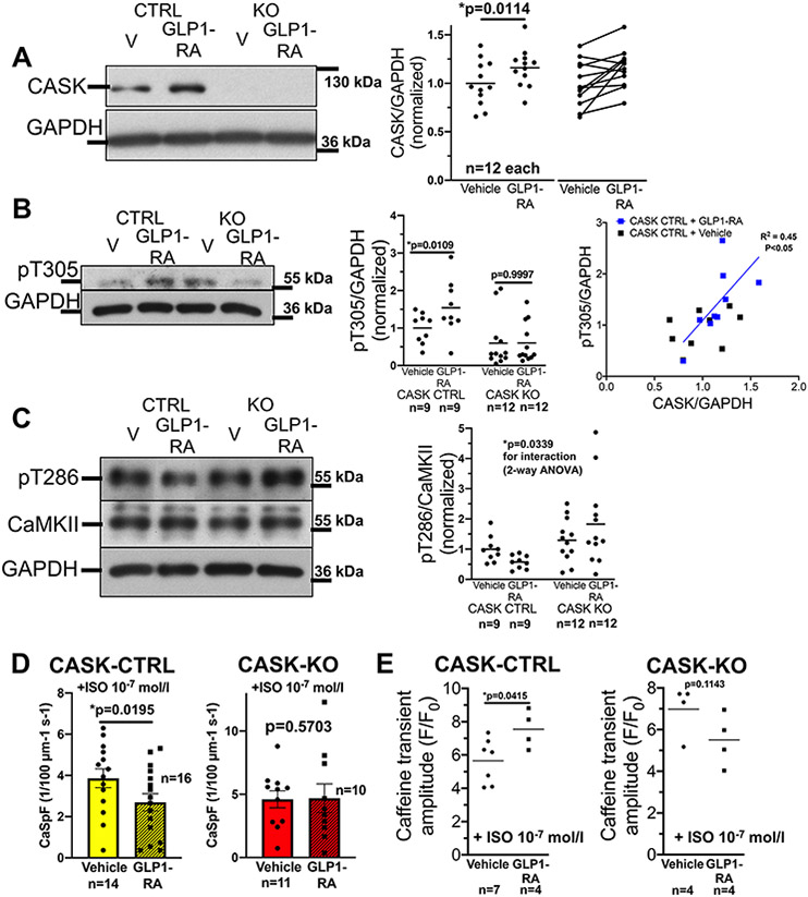 Figure 6: